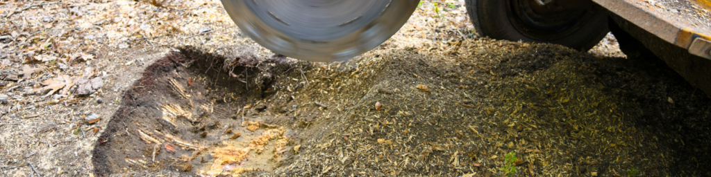 stump grinding near me