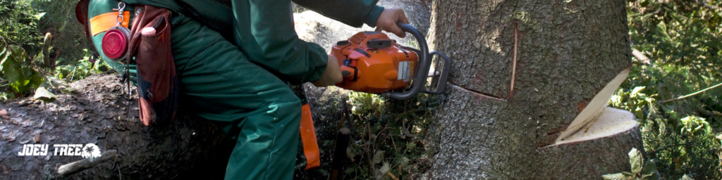 tree removal perrysburg